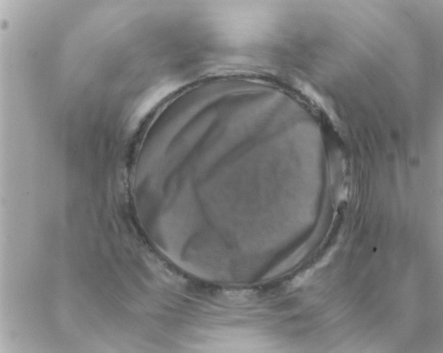 X0000088231453200706121844