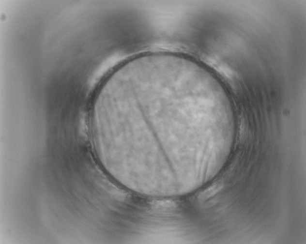 X0000088231454200706121844