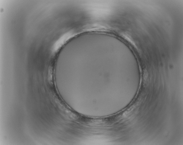 X0000088231455200706121844