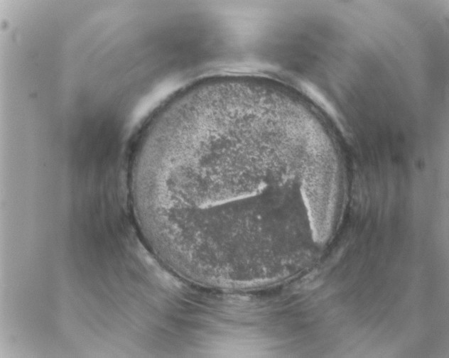 X0000088231456200706121844