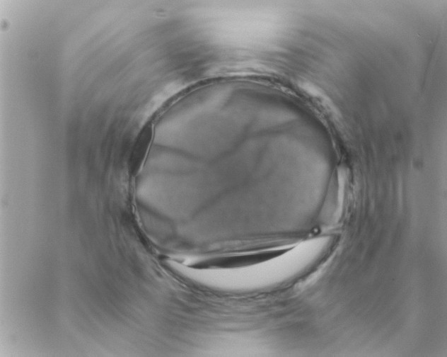 X0000088231457200706121844