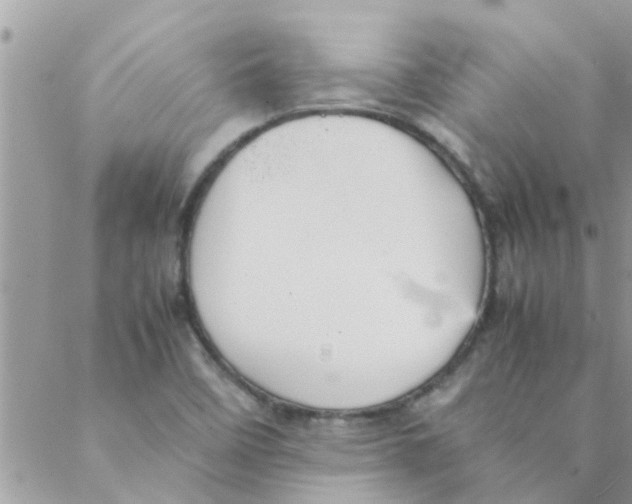 X0000088231458200706121844