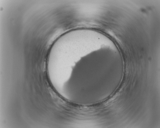 X0000088231459200706121844