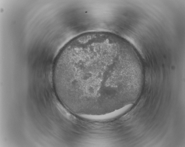 X0000088231460200706121844