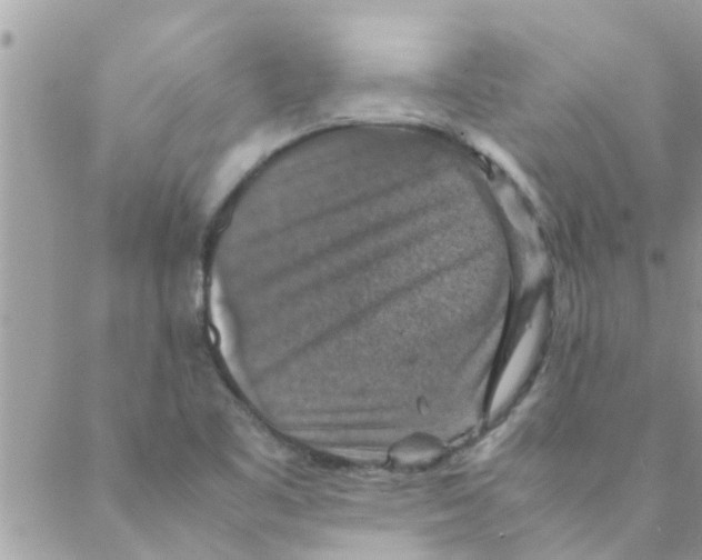 X0000088231461200706121844