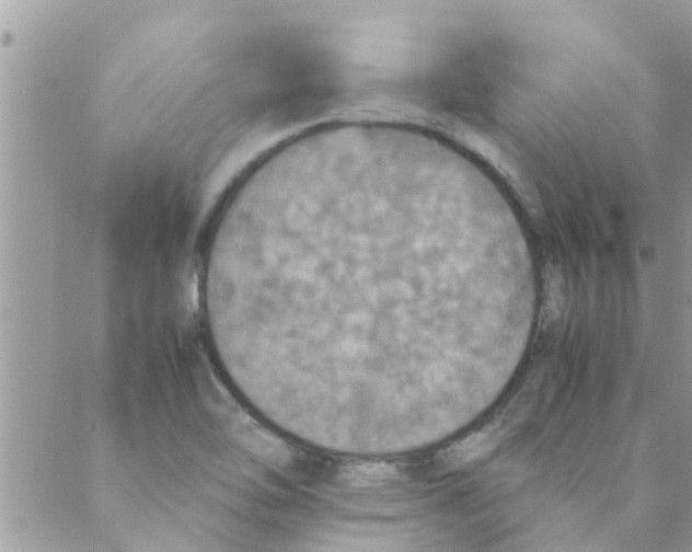 X0000088231462200706121844