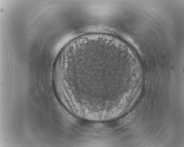 X0000088231463200706121844