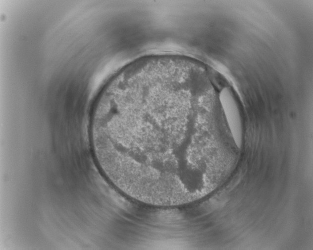 X0000088231464200706121844