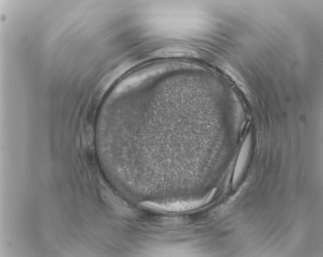 X0000088231465200706121844