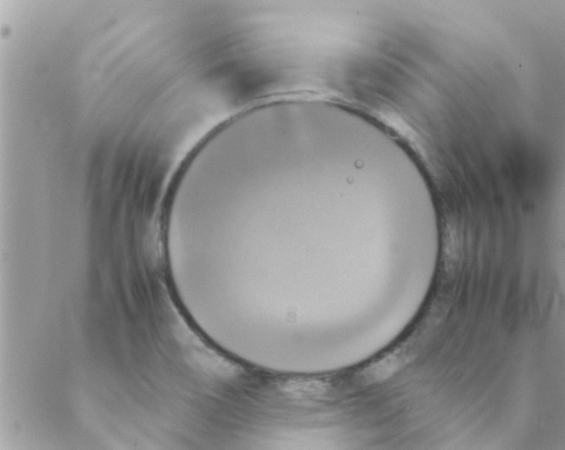 X0000088231466200706121844