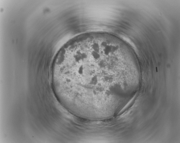 X0000088231467200706121844