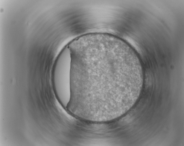 X0000088231468200706121844