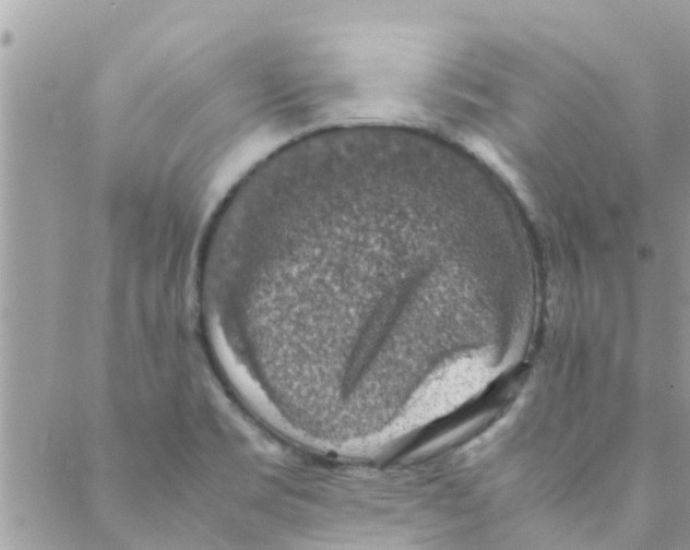 X0000088231469200706121844