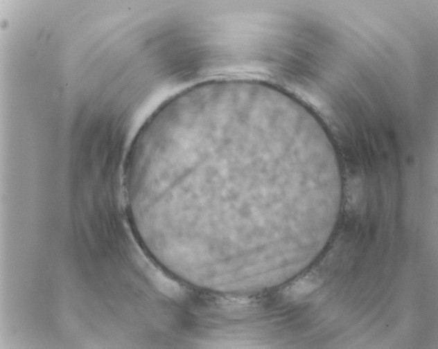 X0000088231470200706121844