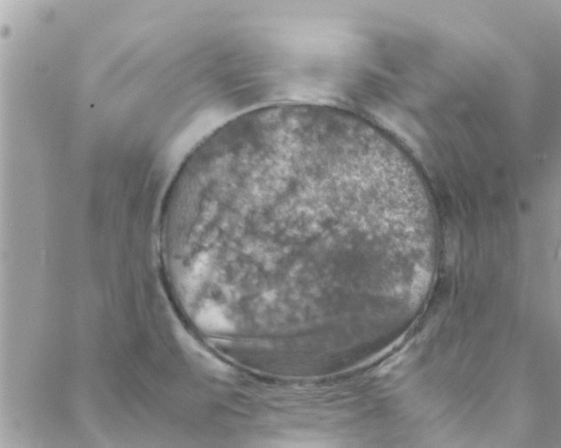 X0000088231471200706121844