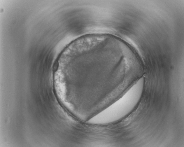 X0000088231472200706121844