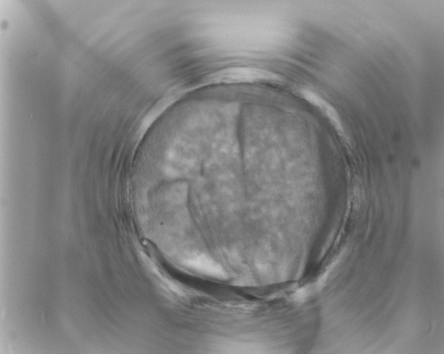 X0000088231473200706121844