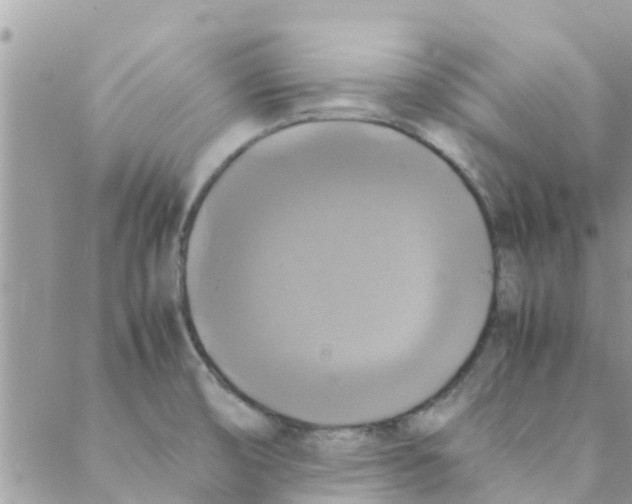 X0000088231474200706121844