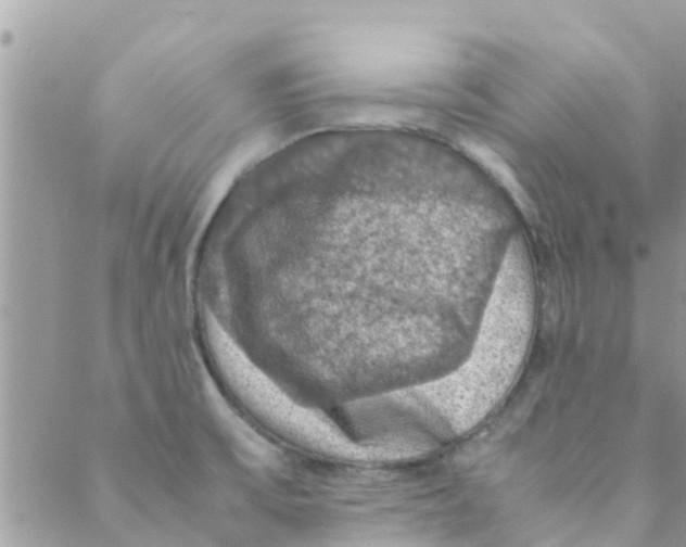 X0000088231475200706121843