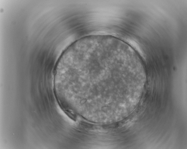 X0000088231476200706121843