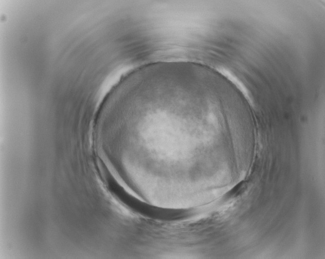 X0000088231477200706121843