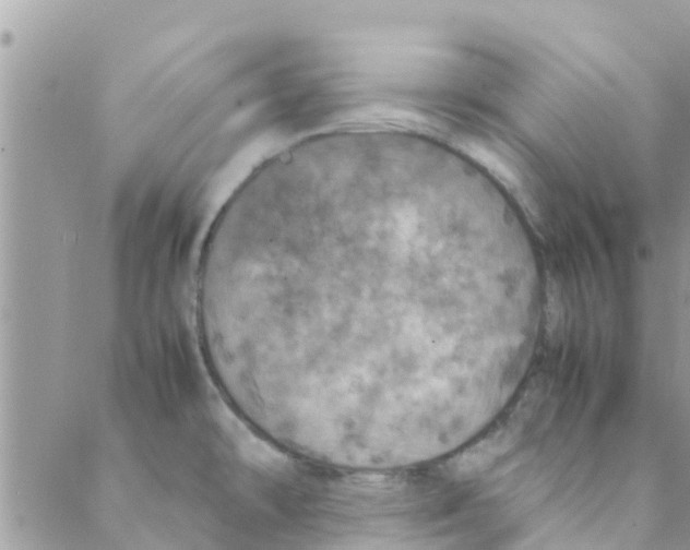 X0000088231478200706121843