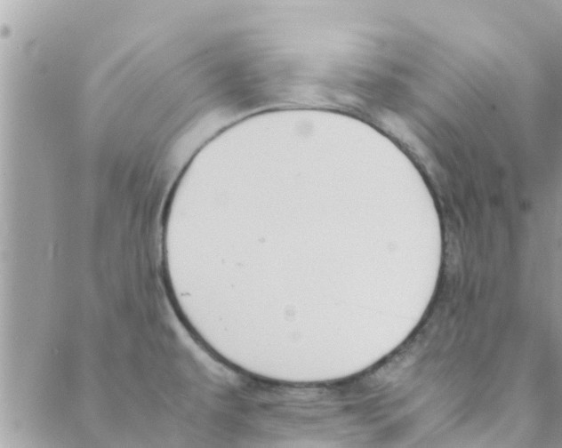 X0000088231479200706121843