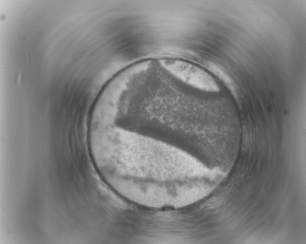 X0000088231480200706121843