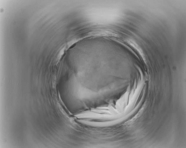 X0000088231481200706121843