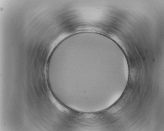 X0000088231482200706121843