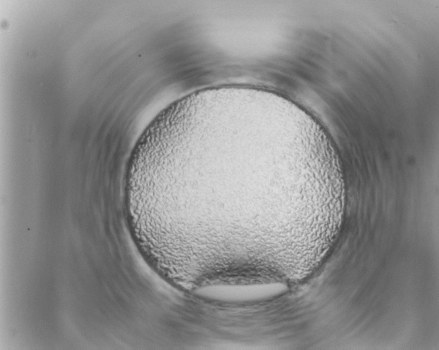 X0000088231483200706121843