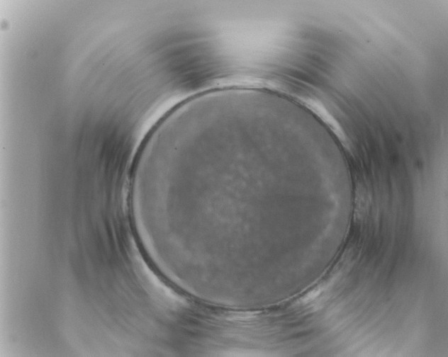 X0000088231484200706121843