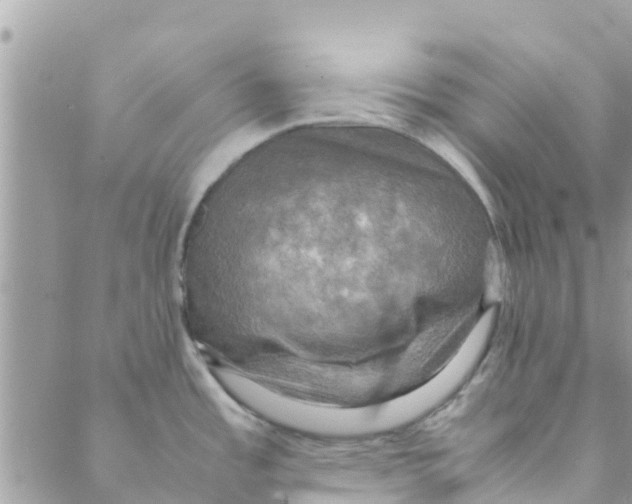 X0000088231485200706121843