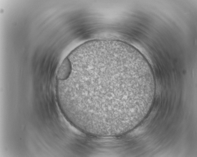 X0000088231486200706121843