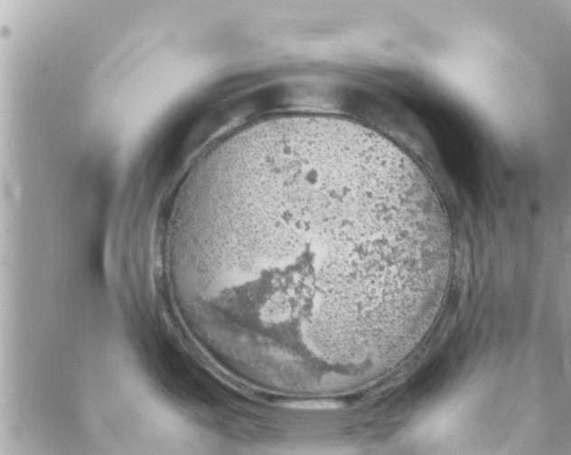 X0000088231487200706121843