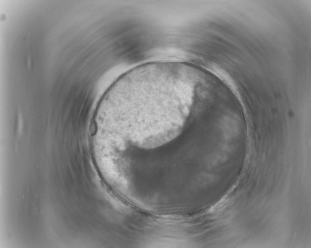 X0000088231488200706121843