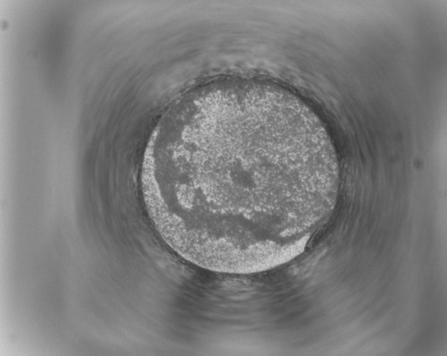 X0000088231489200706121843