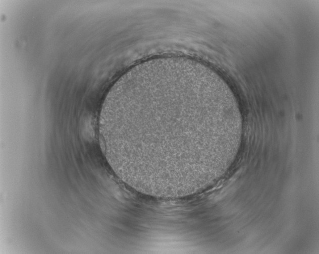 X0000088231490200706121843