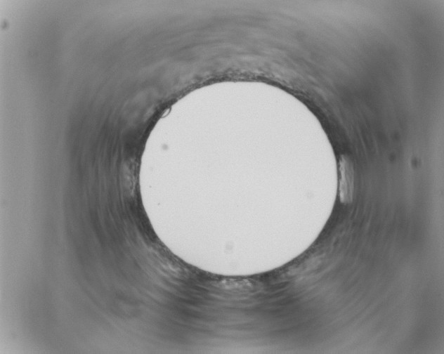 X0000088231491200706121843