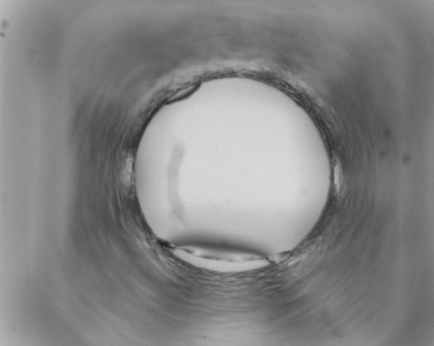 X0000088231492200706121843