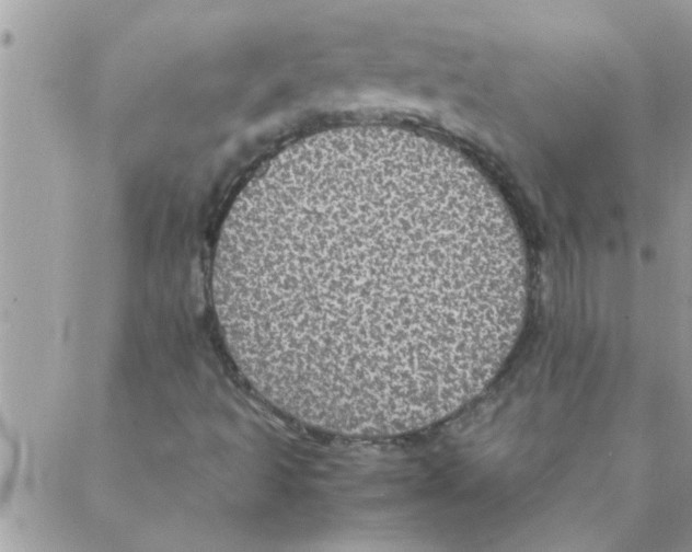 X0000088231493200706121843