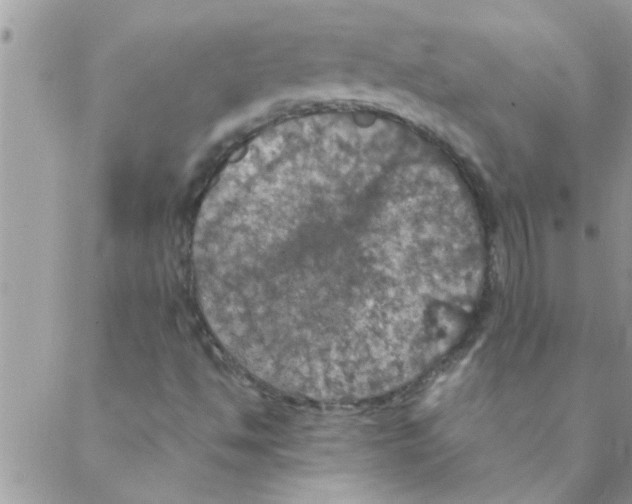 X0000088231494200706121843