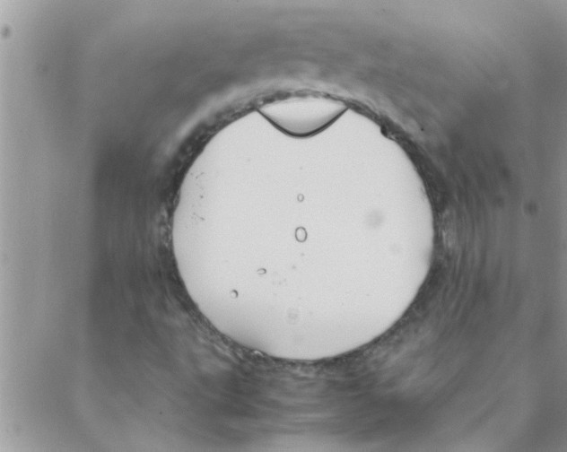 X0000088231495200706121843