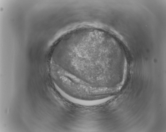 X0000088231496200706121843