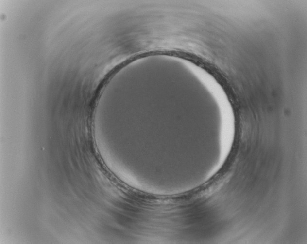 X0000088231497200706121843