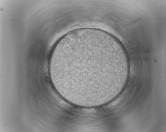 X0000088231498200706121843