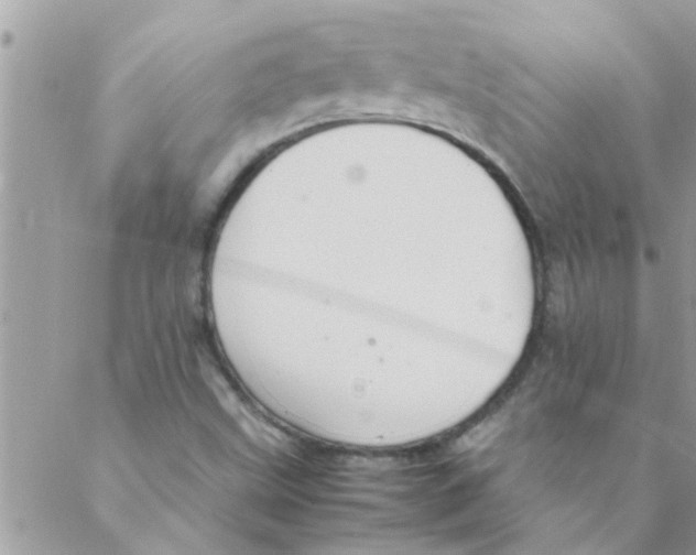 X0000088231499200706121843