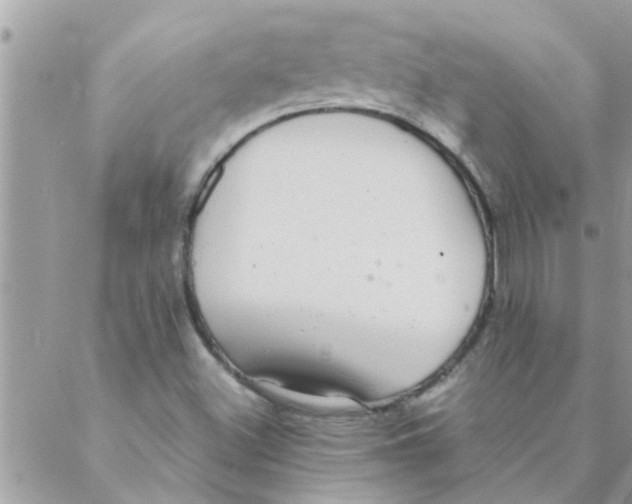 X0000088231500200706121843