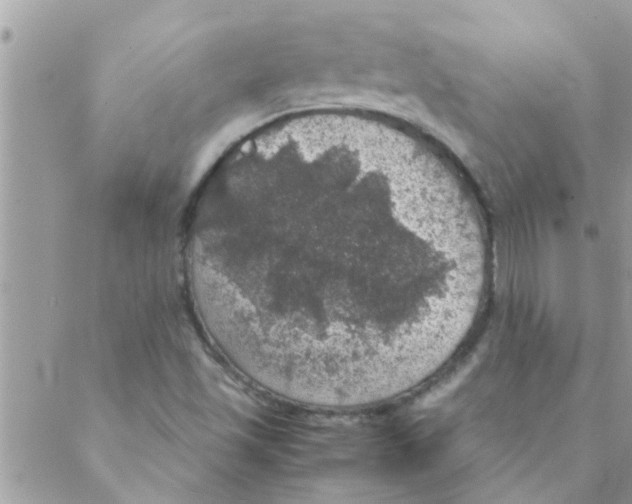 X0000088231501200706121843