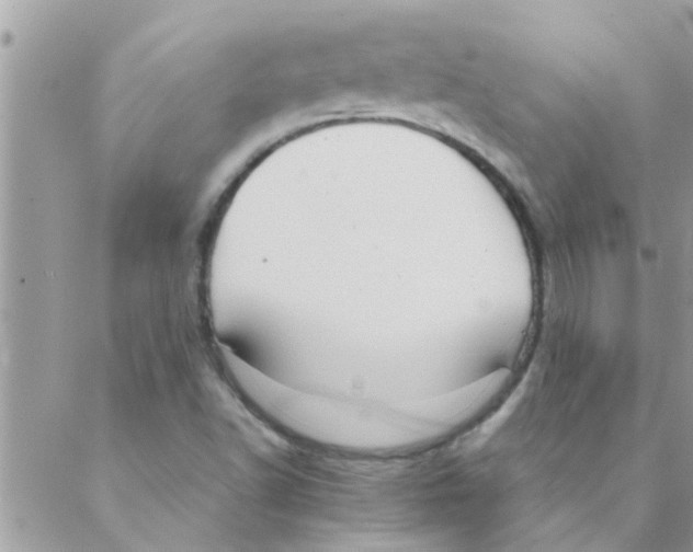 X0000088231502200706121843